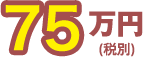 75万円(税別)