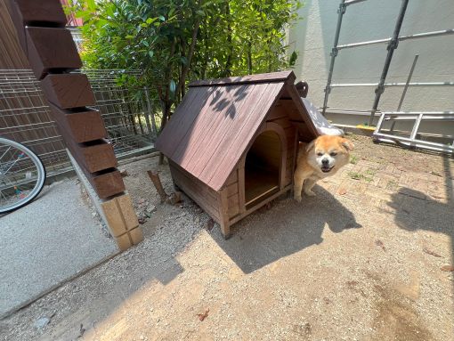20250514 大府市 中西邸 塗装後 (3)R施工後