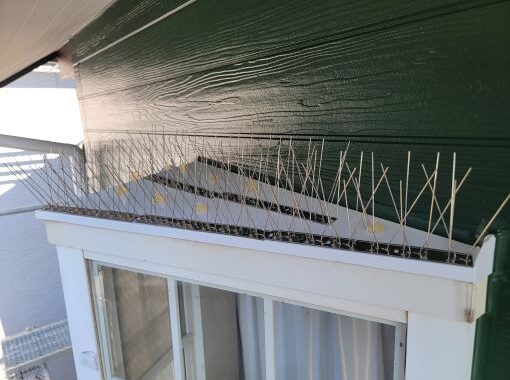 20250801 東浦町 成田邸 鳥よけ (2)R施工前