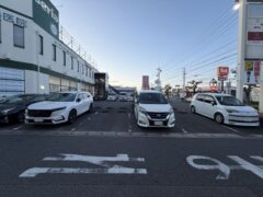20260511 大府市江端町 Seria大府江端店(建栄不動産) 現調 (21)IR
